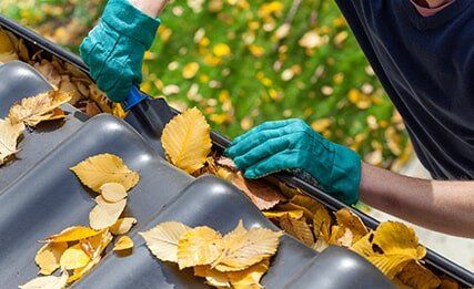 Gutter Cleaning Services - Gutter & Downspout Cleaning & Repair in Loveland, CO